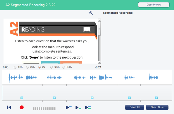 segmented recording preview