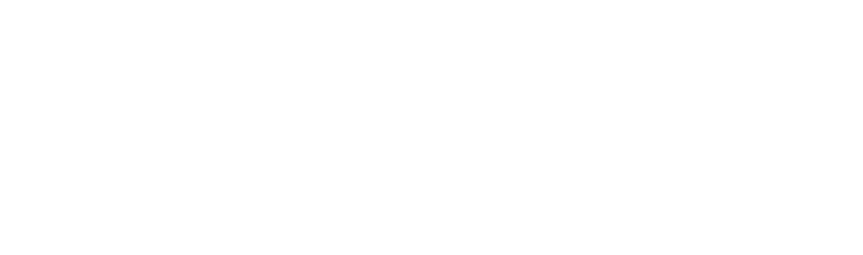 logo Robotel blanc