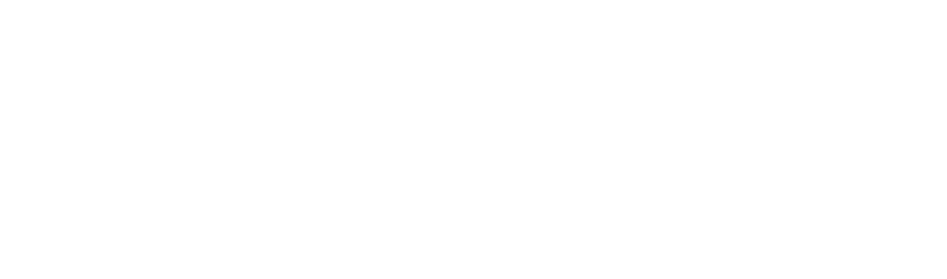 logo Robotel blanc